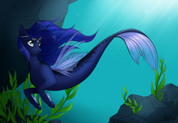 Size: 1024x711 | Tagged: safe, artist:fairdahlia, princess luna, alicorn, hybrid, merpony, pony, sea pony, seapony (g4), blue mane, crepuscular rays, dorsal fin, fin wings, fins, fish tail, flowing mane, flowing tail, green eyes, horn, jewelry, looking up, ocean, regalia, seaponified, seapony luna, seaweed, solo, species swap, sunlight, swimming, tail, underwater, water, wings