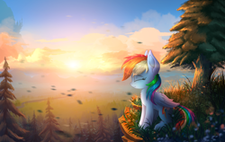 Size: 5000x3167 | Tagged: safe, artist:atlas-66, rainbow dash, pegasus, pony, absurd resolution, canterlot, cliff, cloud, cute, dashabetes, eyes closed, female, forest, mare, outdoors, profile, scenery, sitting, smiling, solo, sun, tree