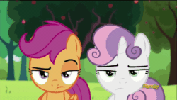 Size: 800x450 | Tagged: safe, screencap, apple bloom, scootaloo, sweetie belle, brotherhooves social, animated, cutie mark crusaders, discovery family logo, grin, unamused