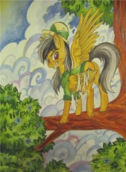 Size: 2262x3072 | Tagged: safe, artist:pony-paint, daring do, bandage, solo, traditional art, tree