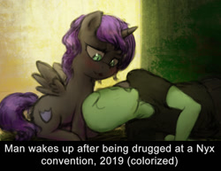 Size: 1010x781 | Tagged: safe, artist:plotcore, oc, oc:anon, oc:nyx, alicorn, human, /mlp/, 4chan, blushing, drawthread, fake history, filly, ponified, ponified meme