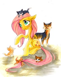 Size: 643x809 | Tagged: safe, artist:imanika, fluttershy, cat, pegasus, pony, female, kitten, mare, sitting