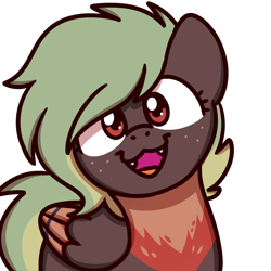 Size: 1000x1000 | Tagged: safe, artist:sugar morning, oc, oc only, oc:terracotta, hippogriff, bust, cute, cute little fangs, fangs, female, looking at you, loss (meme), mare, simple background, smiling, solo, sugar morning's smiling ponies, transparent background