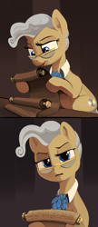 Size: 2500x5770 | Tagged: safe, artist:dimfann, mayor mare, earth pony, pony, confused, copypasta, female, frown, glasses, high res, hoof hold, implied trixie, lidded eyes, looking at you, mare, meme, navy seal copypasta, raised eyebrow, reaction, reaction image, reading, scroll, solo, vulgar, what the fuck am i reading