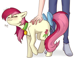 Size: 2386x1866 | Tagged: safe, artist:chibadeer, roseluck, human, pony, behaving like a cat, bow, collar, cute, cyrillic, eyes closed, fluffy, pet tag, petting, pony pet, purring, rosepet, russian, tail bow, translated in the description