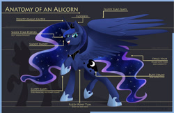 Size: 5100x3300 | Tagged: safe, artist:ghostlymuse, princess luna, alicorn, pony, anatomy, anatomy guide, chart, ethereal mane, female, mare, raised hoof, snoot, solo, spread wings, starry mane
