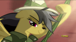 Size: 1286x724 | Tagged: safe, screencap, daring do, pony, stranger than fan fiction, animated, loop