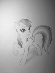 Size: 1024x1365 | Tagged: safe, artist:murphylaw4me, rainbow dash, pegasus, pony, backwards cutie mark, grayscale, monochrome, solo, traditional art