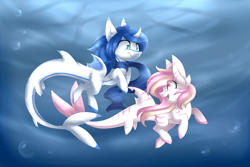 Size: 4500x3000 | Tagged: safe, artist:scarlet-spectrum, oc, oc only, oc:nova, oc:prince nova, oc:rainy skies, original species, shark pony, absurd resolution, bubble, clothes, commission, duo, novaskies, ocean, open mouth, scarf, swimming, underwater