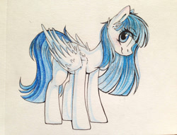 Size: 1024x783 | Tagged: safe, artist:ten-dril, oc, oc only, pegasus, pony, solo, traditional art