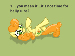 Size: 800x600 | Tagged: safe, artist:acharmingpony, carrot top, golden harvest, bellyrubs, cute, cutie top, on back, solo