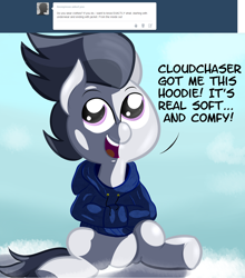 Size: 1280x1453 | Tagged: safe, artist:cosmonaut, derpibooru import, rumble, clothes, cute, happy, hoodie, lets ask rumble, shirt, sitting, solo, sweatshirt, tumblr