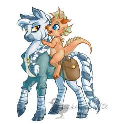 Size: 1820x1936 | Tagged: safe, artist:chickenwhite, oc, oc only, oc:fizzle, oc:junaid zahir duad, dragon, zebra, bag, braid, braided tail, clothes, copper dragon, dungeons and dragons, duo, lidded eyes, looking at each other, looking back, metallic dragon, open mouth, pen and paper rpg, ponyfinder, raised hoof, riding, rpg, simple background, smiling, transparent background