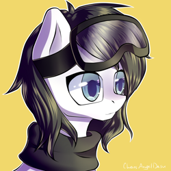 Size: 2000x2000 | Tagged: safe, artist:chaosangeldesu, oc, oc only, oc:snowbound, earth pony, pony, bust, clothes, female, goggles, mare, portrait, scarf, solo