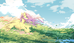 Size: 4100x2400 | Tagged: safe, artist:shinoamashiro, fluttershy, pegasus, pony, absurd resolution, cloud, cute, female, grass, head turn, high res, looking away, mare, meadow, prone, shyabetes, solo, spread wings, windswept mane, windy