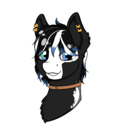 Size: 2000x2000 | Tagged: artist needed, safe, oc, oc only, pony, animated, blinking, blue eyes, bust, collar, ear piercing, female, gif, gritted teeth, hair over eyes, head, looking at you, mare, piercing, simple background, smiling, solo, white background