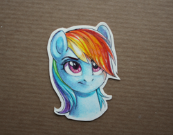 Size: 1280x998 | Tagged: safe, artist:sapraitlond, rainbow dash, pegasus, pony, bust, craft, female, grin, mare, papercraft, portrait, smiling, solo, traditional art