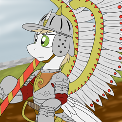 Size: 1280x1280 | Tagged: safe, artist:undercoverpone, oc, oc only, pegasus, pony, armor, hussar, male, poland, stallion, winged hussar