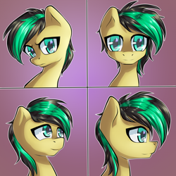 Size: 700x700 | Tagged: safe, artist:chaosangeldesu, oc, oc only, oc:ailan, pegasus, pony, cute