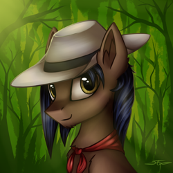 Size: 1000x1000 | Tagged: safe, artist:setharu, oc, oc only, oc:arny nilson, pegasus, pony, bandana, hat, looking at you, male, signature, smiling, solo, stallion