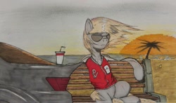 Size: 1714x1009 | Tagged: safe, artist:incrediblepanzer, derpy hooves, pegasus, pony, beach, bench, car, clothes, female, jacket, mare, ocean, palm tree, sitting, solo, sun, sunglasses, traditional art, tree, wind, windswept mane