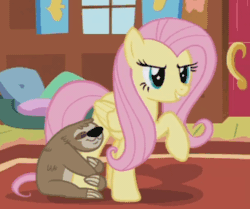 Size: 347x290 | Tagged: safe, screencap, fluttershy, lola the sloth, pegasus, pony, sloth, fluttershy leans in, animated, cute, gif, shyabetes, spread wings, talking, wings