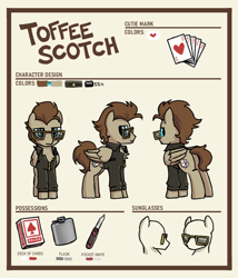 Size: 900x1050 | Tagged: safe, artist:plunger, oc, oc only, oc:toffee, pegasus, card, cards, clothes, cutie mark, flask, jacket, knife, leather jacket, male, meme, pegasus oc, playing card, reference sheet, sunglasses, text, wings