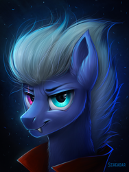 Size: 750x1000 | Tagged: safe, artist:scheadar, oc, oc only, oc:dark artemid, pony, bust, clothes, heterochromia, male, portrait, solo, stallion