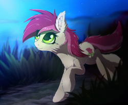 Size: 1192x983 | Tagged: safe, artist:breakdream, roseluck, earth pony, pony, cheek fluff, chest fluff, ear fluff, female, fluffy, grass, looking up, mare, night, smiling, solo