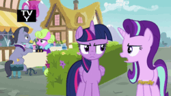 Size: 806x454 | Tagged: safe, screencap, daisy, diamond cutter, flower wishes, lavender bloom, starlight glimmer, twilight sparkle, twilight sparkle (alicorn), alicorn, earth pony, pony, unicorn, fame and misfortune, animated, female, gif, male, mare, stallion, tv rating, tv-y