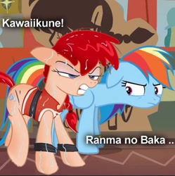 Size: 447x449 | Tagged: safe, artist:jowyb, edit, rainbow dash, pegasus, pony, stranger than fan fiction, crossover, crossover shipping, ponified, ranko, ranma 1/2, ranma saotome, shipping, tsundere