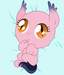 Size: 3000x3516 | Tagged: safe, artist:vito, oc, oc only, oc:echo, bat pony, pony, /mlp/, :o, baby, cute, derp, eeee, foal, high res, on back, skree, solo, vector