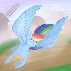 Size: 2000x2000 | Tagged: safe, artist:ray-frost, rainbow dash, pegasus, pony, chest fluff, female, flying, grin, large wings, mare, smiling, solo, spread wings, windmill, wings