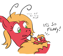 Size: 705x635 | Tagged: safe, artist:jargon scott, big macintosh, macareina, mothpony, original species, antennae, big macinmoth, dialogue, duality, fluffy, mothareina, rule 63, self ponidox, species swap, tiny mac, too many macareinas