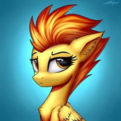 Size: 3000x3000 | Tagged: safe, artist:setharu, spitfire, pegasus, pony, blue background, bust, cheek fluff, chest fluff, ear fluff, female, high res, mare, simple background, solo