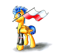 Size: 2100x1980 | Tagged: safe, artist:nightpaint12, flash sentry, pegasus, pony, flag, independence day, male, mouth hold, poland, polish national independence day, solo, stallion, traditional art