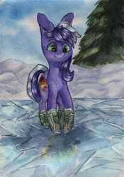 Size: 900x1289 | Tagged: safe, artist:rinioshi, oc, oc only, oc:proudy hooves, earth pony, pony, ice skates, male, solo, stallion, traditional art, winter