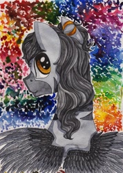 Size: 712x1000 | Tagged: safe, artist:rinioshi, oc, oc only, pony, zebra, bust, looking at you, looking back, looking back at you, male, solo, stallion, traditional art, wings, zebra oc, zebrasus