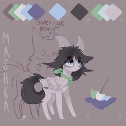 Size: 2000x2000 | Tagged: safe, artist:rinioshi, oc, oc only, pegasus, pony, clothes, female, mare, reference sheet, scarf, solo