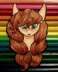 Size: 1665x2048 | Tagged: safe, artist:evakulisreal, oc, oc only, pony, female, freckles, head, mare, open mouth, solo, traditional art