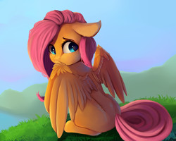 Size: 2500x2000 | Tagged: dead source, safe, artist:miokomata, fluttershy, pegasus, pony, cute, female, looking at you, looking back, looking back at you, looking over shoulder, mare, missing cutie mark, rear view, shyabetes, sitting, solo, spread wings