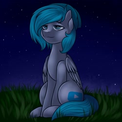 Size: 2160x2160 | Tagged: safe, artist:romablueberry, oc, oc only, pegasus, pony, grass, lidded eyes, night, sitting, solo, stars