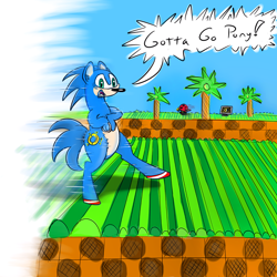 Size: 800x800 | Tagged: safe, artist:firenhooves, dialogue, green hill zone, ponified, sanic, solo, sonic the hedgehog, sonic the hedgehog (series), wat