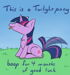 Size: 754x810 | Tagged: safe, artist:firenhooves, twilight sparkle, pony, unicorn, behaving like a dog, boop, chest fluff, female, grass, mare, meme, sitting, smiling, solo, tail wag, tongue out