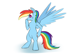 Size: 566x449 | Tagged: safe, artist:firenhooves, rainbow dash, pegasus, pony, atg 2017, female, mare, newbie artist training grounds, simple background, solo, standing, white background, wings