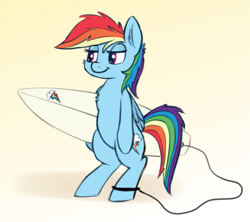 Size: 945x841 | Tagged: safe, artist:firenhooves, rainbow dash, pegasus, pony, cheek fluff, chest fluff, cute, ear fluff, leash, simple background, smiling, solo, surfboard, surfing