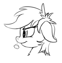 Size: 390x396 | Tagged: safe, artist:firenhooves, rainbow dash, pegasus, pony, bust, head only, horses doing horse things, monochrome, nose wrinkle, portrait, snorting, solo