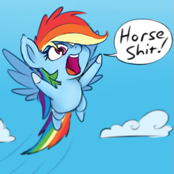 Size: 501x501 | Tagged: safe, artist:firenhooves, rainbow dash, pegasus, pony, cloud, cute, female, flying, horseshit, sky, solo, text, tiny, tiny ponies, vulgar