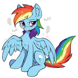 Size: 1212x1222 | Tagged: safe, artist:hioshiru, rainbow dash, pegasus, pony, blushing, chest fluff, cute, dashabetes, ear fluff, female, fluffy, mare, multicolored hair, out of breath, panting, simple background, sitting, solo, sore wings, sweat, tired, white background