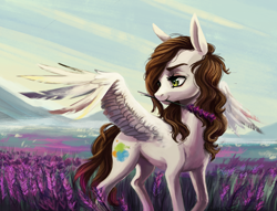 Size: 1140x872 | Tagged: safe, artist:weird--fish, oc, oc only, pegasus, pony, beautiful, female, lavender, lavender field, mare, mouth hold, purple flowers, scenery, scenery porn, solo